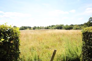 Photo 14- click for photo gallery